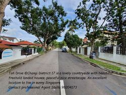 Toh Estate (D17), Detached #569254381